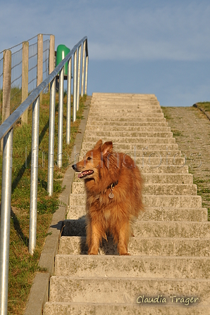 Hundestrand / Bild 302 von 376 / 22.09.2016 08:52 / DSC_0814.JPG