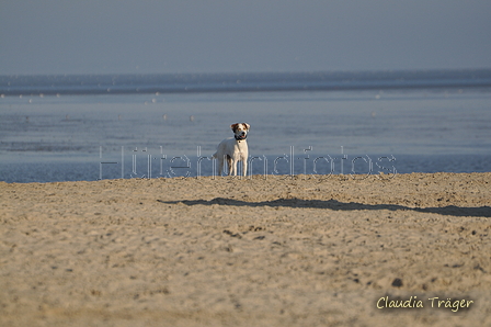 Hundestrand / Bild 303 von 376 / 22.09.2016 09:03 / DSC_0849.JPG