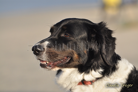 Hundestrand / Bild 312 von 376 / 22.09.2016 09:16 / DSC_0970.JPG