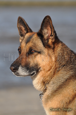 Hundestrand / Bild 316 von 376 / 22.09.2016 09:19 / DSC_1010.JPG