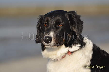 Hundestrand / Bild 321 von 376 / 22.09.2016 09:19 / DSC_1019.JPG