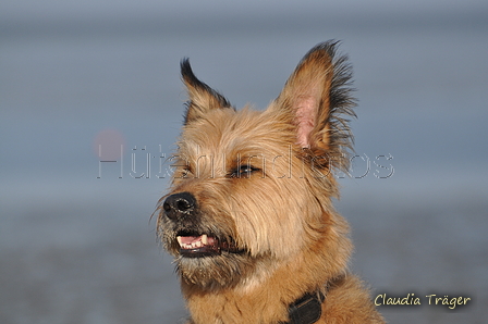 Hundestrand / Bild 326 von 376 / 22.09.2016 09:25 / DSC_1038.JPG