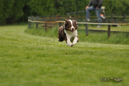 Jederhundrennen / Bild 44 von 143 / 01.05.2015 14:57 / DSC_1949.JPG