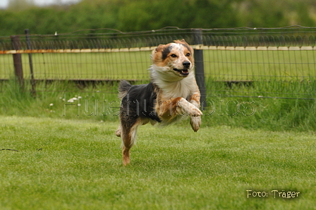 Jederhundrennen / Bild 46 von 143 / 01.05.2015 14:59 / DSC_1971.JPG