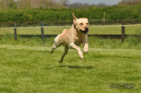 Jederhundrennen / Bild 63 von 143 / 01.05.2015 15:07 / DSC_2039.JPG