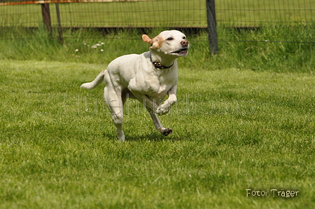 Jederhundrennen / Bild 66 von 143 / 01.05.2015 15:08 / DSC_2042.JPG