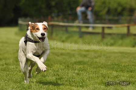 Jederhundrennen / Bild 70 von 143 / 01.05.2015 15:09 / DSC_2051.JPG