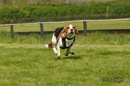 Jederhundrennen / Bild 81 von 143 / 01.05.2015 15:15 / DSC_2112.JPG