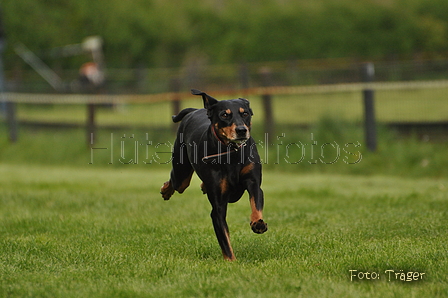 Jederhundrennen / Bild 84 von 143 / 01.05.2015 15:16 / DSC_2125.JPG