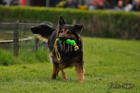 Jederhundrennen / Bild 91 von 143 / 01.05.2015 15:20 / DSC_2164.JPG