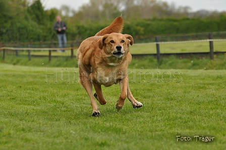 Jederhundrennen / Bild 93 von 143 / 01.05.2015 15:21 / DSC_2170.JPG