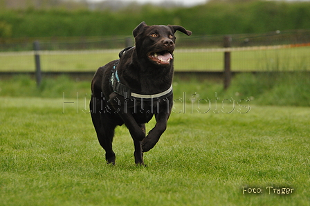 Jederhundrennen / Bild 95 von 143 / 01.05.2015 15:21 / DSC_2175.JPG