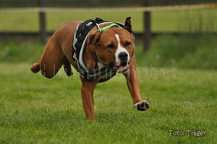 Jederhundrennen / Bild 98 von 143 / 01.05.2015 15:22 / DSC_2180.JPG