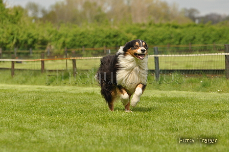 Jederhundrennen / Bild 110 von 143 / 01.05.2015 15:27 / DSC_2205.JPG