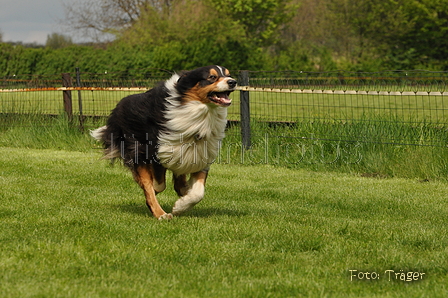 Jederhundrennen / Bild 112 von 143 / 01.05.2015 15:27 / DSC_2208.JPG