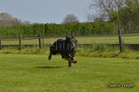 Jederhundrennen / Bild 58 von 488 / 01.05.2016 11:14 / DSC_8264.JPG