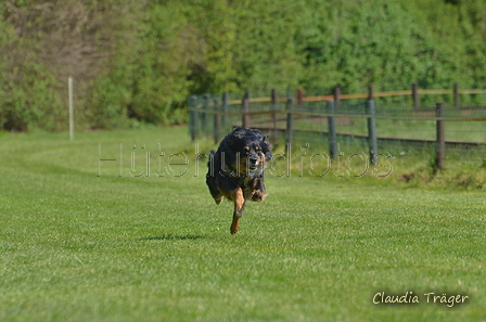 Jederhundrennen / Bild 66 von 488 / 01.05.2016 11:19 / DSC_8321.JPG