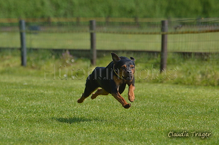 Jederhundrennen / Bild 68 von 488 / 01.05.2016 11:20 / DSC_8332.JPG