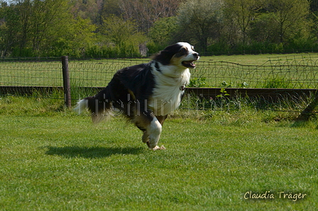 Jederhundrennen / Bild 72 von 488 / 01.05.2016 11:21 / DSC_8345.JPG