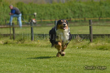 Jederhundrennen / Bild 81 von 488 / 01.05.2016 11:25 / DSC_8401.JPG