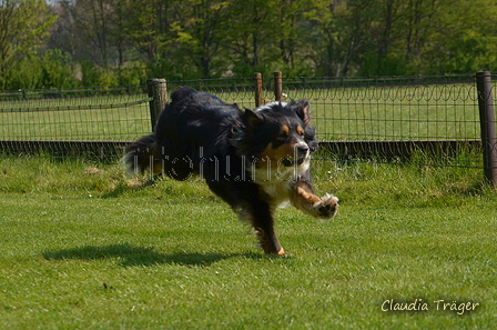 Jederhundrennen / Bild 83 von 488 / 01.05.2016 11:25 / DSC_8404.JPG