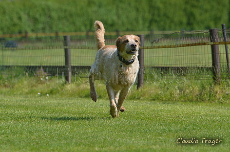 Jederhundrennen / Bild 88 von 488 / 01.05.2016 11:27 / DSC_8427.JPG