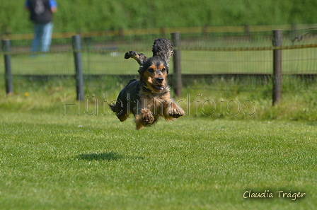 Jederhundrennen / Bild 119 von 488 / 01.05.2016 11:45 / DSC_8548.JPG