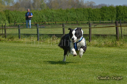 Jederhundrennen / Bild 123 von 488 / 01.05.2016 11:47 / DSC_8566.JPG