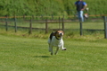 Jederhundrennen / Bild 126 von 488 / 01.05.2016 11:49 / DSC_8597.JPG