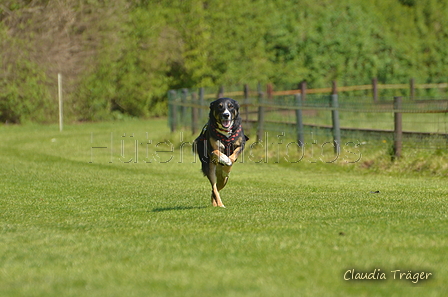 Jederhundrennen / Bild 155 von 488 / 01.05.2016 12:00 / DSC_8757.JPG