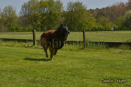 Jederhundrennen / Bild 172 von 488 / 01.05.2016 12:07 / DSC_8837.JPG