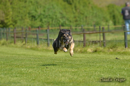 Jederhundrennen / Bild 185 von 488 / 01.05.2016 12:10 / DSC_8889.JPG