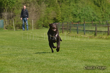 Jederhundrennen / Bild 194 von 488 / 01.05.2016 12:13 / DSC_8955.JPG