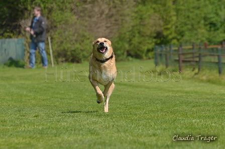 Jederhundrennen / Bild 213 von 488 / 01.05.2016 12:19 / DSC_9062.JPG