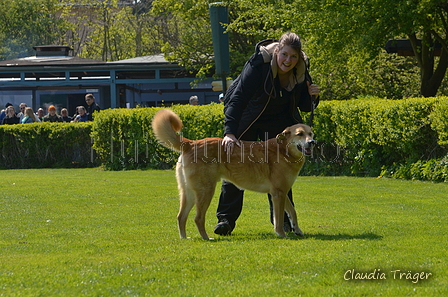 Jederhundrennen / Bild 216 von 488 / 01.05.2016 12:19 / DSC_9074.JPG