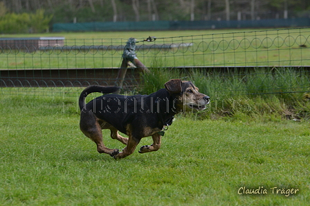 Jederhundrennen / Bild 273 von 488 / 01.05.2016 13:23 / DSC_9506.JPG