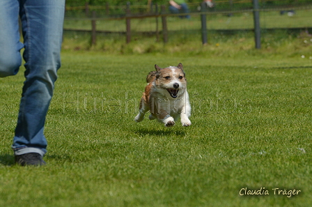 Jederhundrennen / Bild 291 von 488 / 01.05.2016 13:30 / DSC_9631.JPG