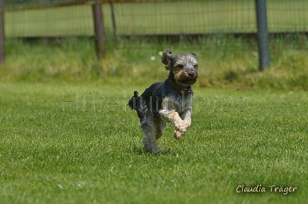 Jederhundrennen / Bild 300 von 488 / 01.05.2016 13:34 / DSC_9737.JPG