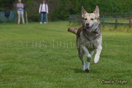 Jederhundrennen / Bild 323 von 488 / 01.05.2016 13:43 / DSC_9934.JPG