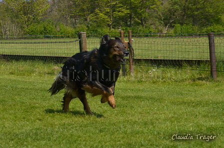 Jederhundrennen / Bild 325 von 488 / 01.05.2016 13:44 / DSC_9960.JPG