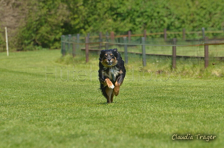 Jederhundrennen / Bild 334 von 488 / 01.05.2016 13:47 / DSC_9998.JPG