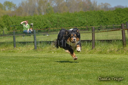 Jederhundrennen / Bild 349 von 488 / 01.05.2016 13:52 / DSC_0100.JPG