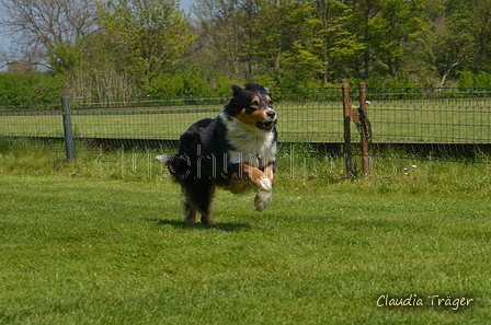 Jederhundrennen / Bild 350 von 488 / 01.05.2016 13:52 / DSC_0103.JPG