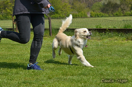 Jederhundrennen / Bild 359 von 488 / 01.05.2016 13:56 / DSC_0170.JPG