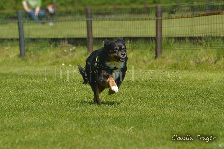 Jederhundrennen / Bild 369 von 488 / 01.05.2016 14:00 / DSC_0237.JPG