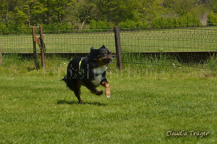 Jederhundrennen / Bild 370 von 488 / 01.05.2016 14:00 / DSC_0239.JPG