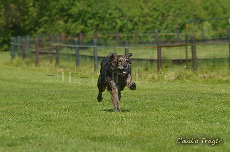 Jederhundrennen / Bild 387 von 488 / 01.05.2016 14:10 / DSC_0362.JPG