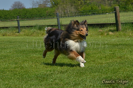 Jederhundrennen / Bild 391 von 488 / 01.05.2016 14:11 / DSC_0390.JPG