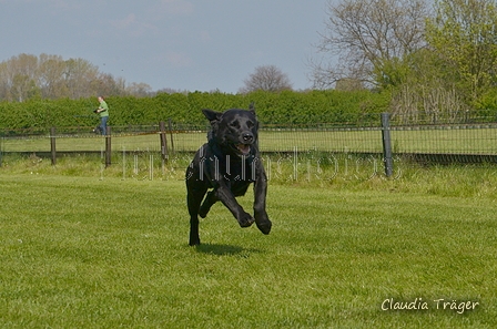 Jederhundrennen / Bild 414 von 488 / 01.05.2016 14:21 / DSC_0500.JPG