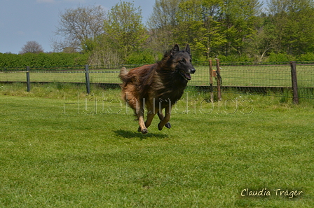 Jederhundrennen / Bild 432 von 488 / 01.05.2016 14:28 / DSC_0610.JPG